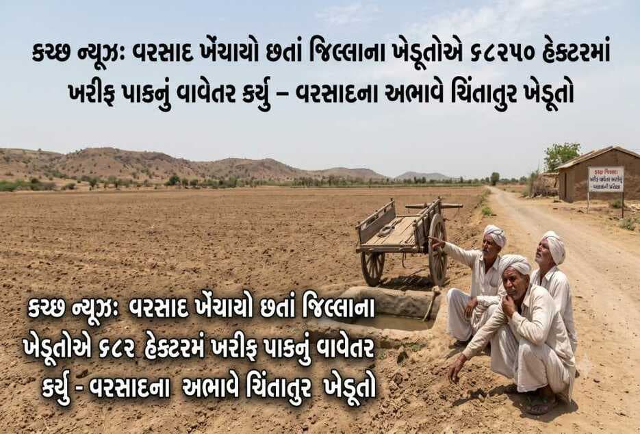 કચ્છ સમાચાર: ચોમાસામાં વિલંબ હોવા છતાં, જિલ્લાના ખેડૂતોએ 68,250 હેક્ટરમાં ખરીફ પાકની વાવણી કરી હતી.